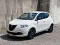 Lancia Ypsilon 0.9 TwinAir 85 CV 5 porte Metano Ecochic Elefantin Bianco - thumbnail 3