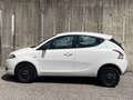 Lancia Ypsilon 0.9 TwinAir 85 CV 5 porte Metano Ecochic Elefantin Bianco - thumbnail 5