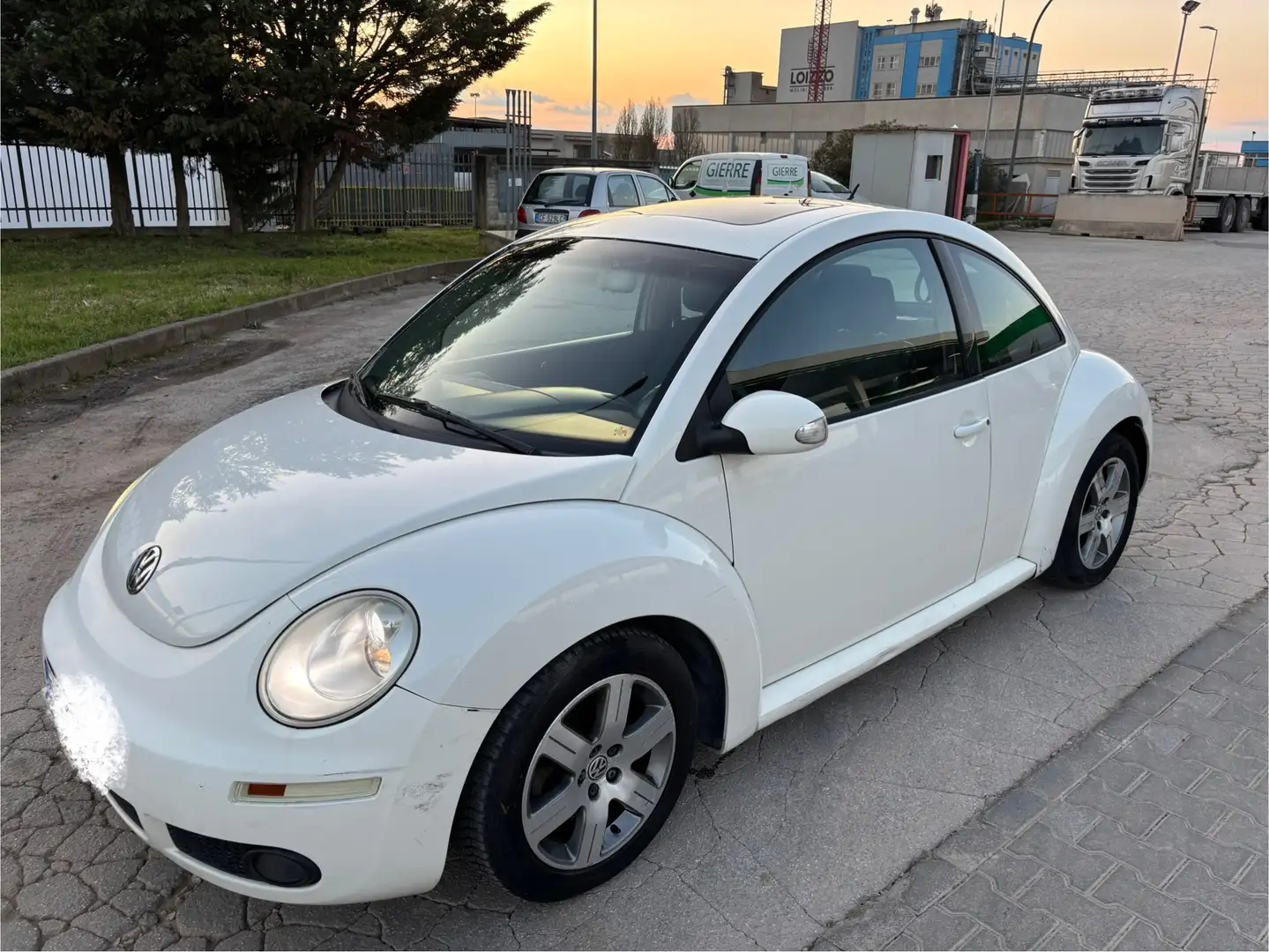 Volkswagen New Beetle New Beetle 1.9 tdi 105cv Blanco - 1