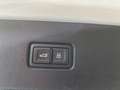 Audi Q7 50TDi - S-Line, 20", Navi, LED, Camera, ACC,  ... Blanc - thumbnail 17