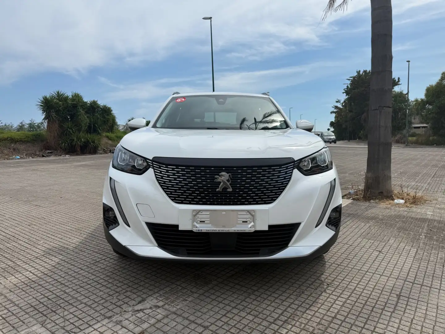 Peugeot 2008 BlueHDi 130 S&S EAT8 Allure Blanco - 2