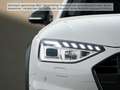 Audi A4 allroad A4 allroad 40 TDI quattro Head-Up Standh. Pano A Weiß - thumbnail 5