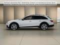 Audi A4 allroad A4 allroad 40 TDI quattro Head-Up Standh. Pano A Weiß - thumbnail 3