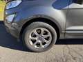 Ford EcoSport 1.0 ecoboost Titanium s&s 125cv auto PROMO Grau - thumbnail 5