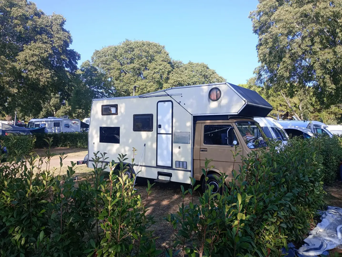 Volkswagen LT 31D - 2