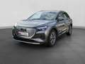 Audi Q4 e-tron SONOS PDC STDHZG HuD Grau - thumbnail 2