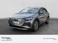 Audi Q4 e-tron SONOS PDC STDHZG HuD Grau - thumbnail 1