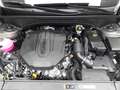 Kia Sorento SORENTO 2.2 CRDI AWD DCT8 PLATINUM MJ25 LEDER NAPP Gris - thumbnail 16