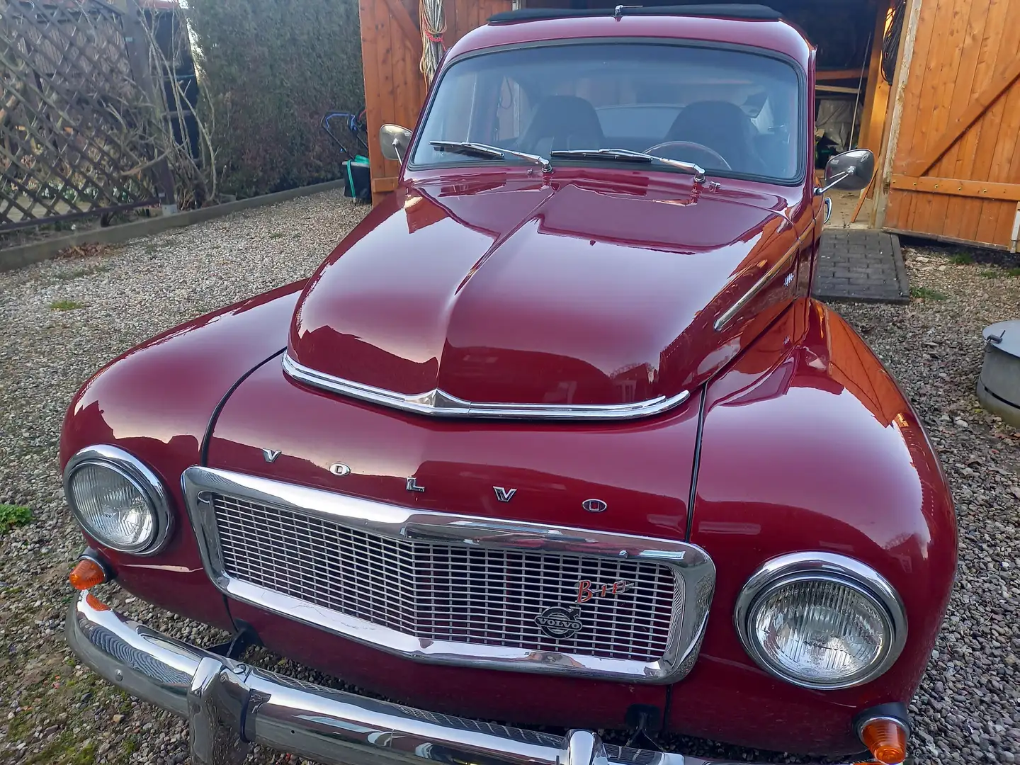 Volvo PV544 Sport Roşu - 2