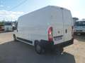 Fiat Ducato furgone lungo Bianco - thumbnail 5