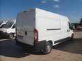 Fiat Ducato furgone lungo Bianco - thumbnail 4