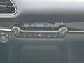 Mazda CX-30 SKYACTIV-X 2.0 M Hybrid Selection Bose Des Rot - thumbnail 17