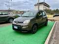 Fiat Panda 1.0 FireFly S&S Hybrid City Life - 2021 Grigio - thumbnail 3