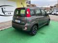Fiat Panda 1.0 FireFly S&S Hybrid City Life - 2021 Grigio - thumbnail 6