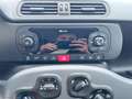 Fiat Panda 1.0 FireFly S&S Hybrid City Life - 2021 Grigio - thumbnail 14