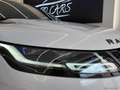 Land Rover Range Rover Evoque RR Evoque 2.0D I4 163 CV AWD Auto R-D.SE TETTO PAN Weiß - thumbnail 13