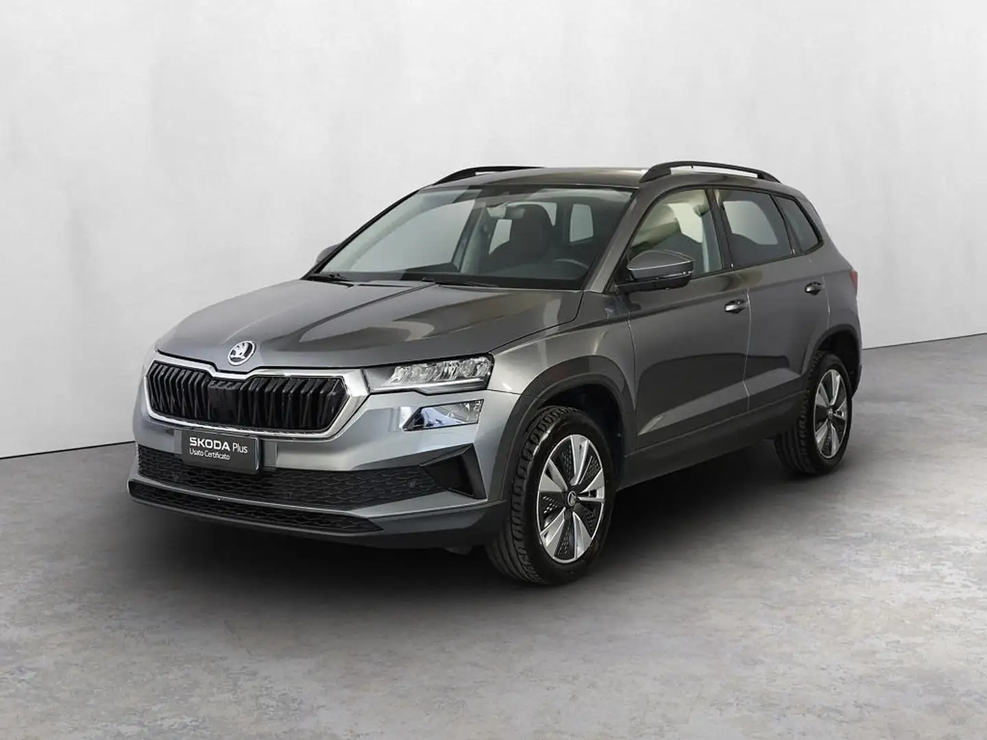 Skoda Karoq 2.0 tdi evo executive 115cv dsg Grau - 1