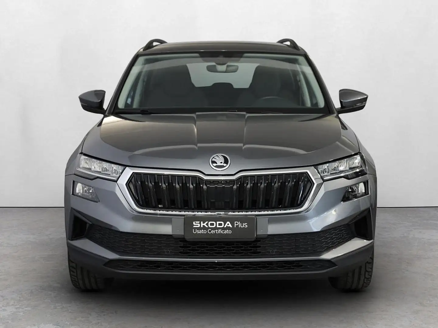 Skoda Karoq 2.0 tdi evo executive 115cv dsg Grau - 2