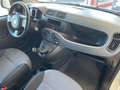 Fiat Panda Panda 1.2 Pop Van 2 posti PRONTA ALL’USO Blanc - thumbnail 12