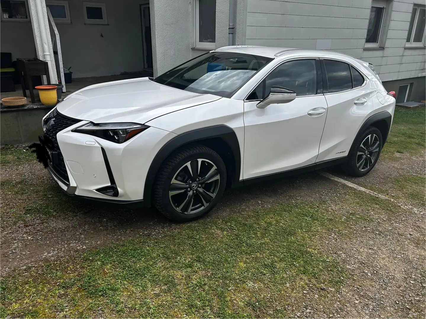 Lexus UX 250h UX 250h Luxury Line Weiß - 1