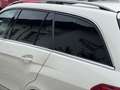 Mercedes-Benz E 50 AMG E50 CGI T-Modell  BlueEfficiency*4Matic*Standh* Weiß - thumbnail 10