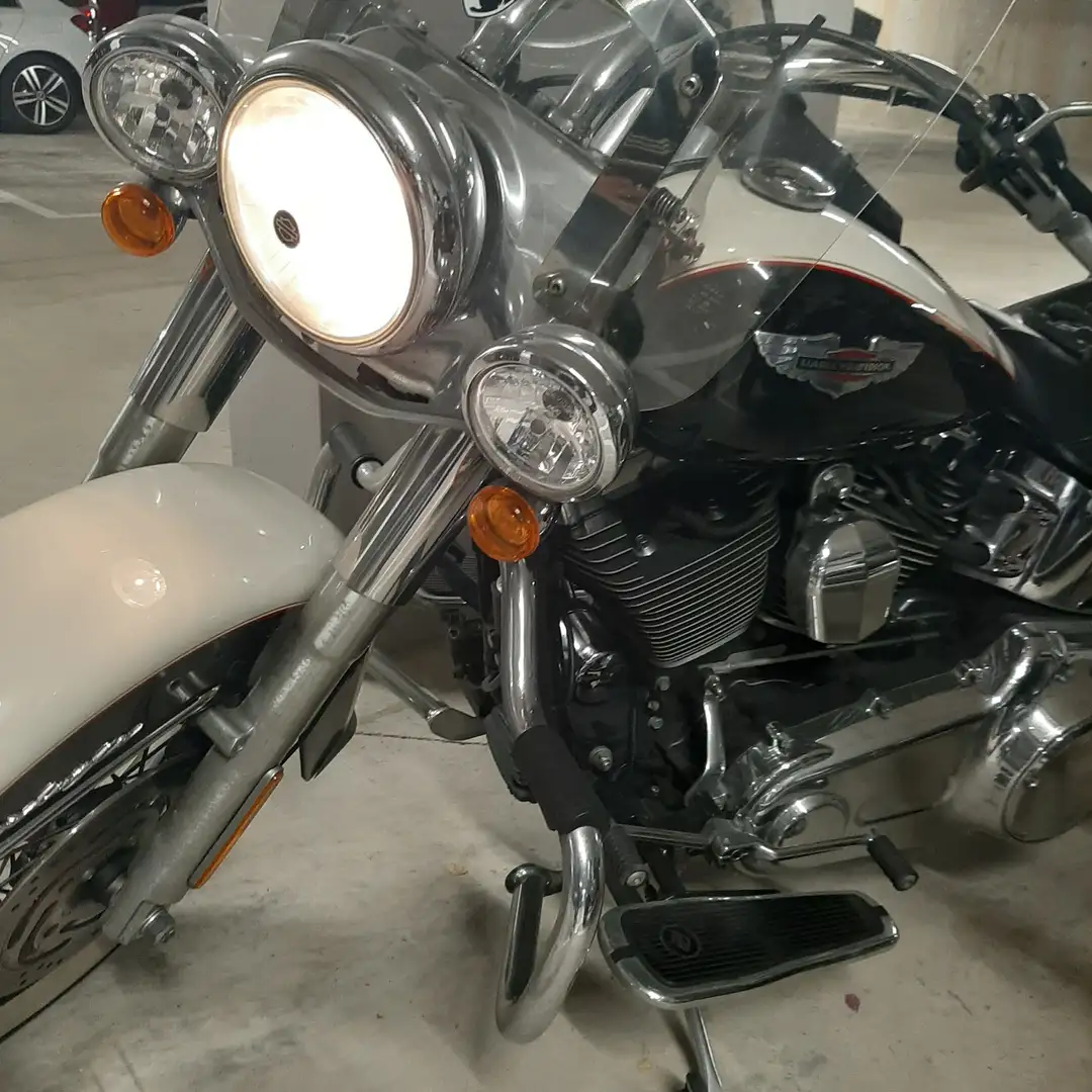Harley-Davidson Softail Deluxe Beyaz - 2