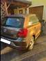 Volkswagen Polo Polo Highline 1,2 TSI Highline Braun - thumbnail 2