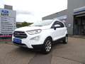 Ford EcoSport Titanium *NAVI*PDC*TEMPO*WINPAK*KEYFREE Weiß - thumbnail 1