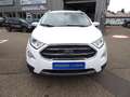 Ford EcoSport Titanium *NAVI*PDC*TEMPO*WINPAK*KEYFREE Weiß - thumbnail 3