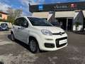 Fiat Panda Panda 1.0 FireFly S&S Hybrid Pandina Weiß - thumbnail 1