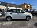 Fiat Panda Panda 1.0 FireFly S&S Hybrid Pandina Weiß - thumbnail 4