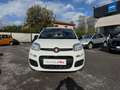 Fiat Panda Panda 1.0 FireFly S&S Hybrid Pandina Blanc - thumbnail 2