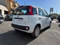 Fiat Panda Panda 1.0 FireFly S&S Hybrid Pandina Weiß - thumbnail 8