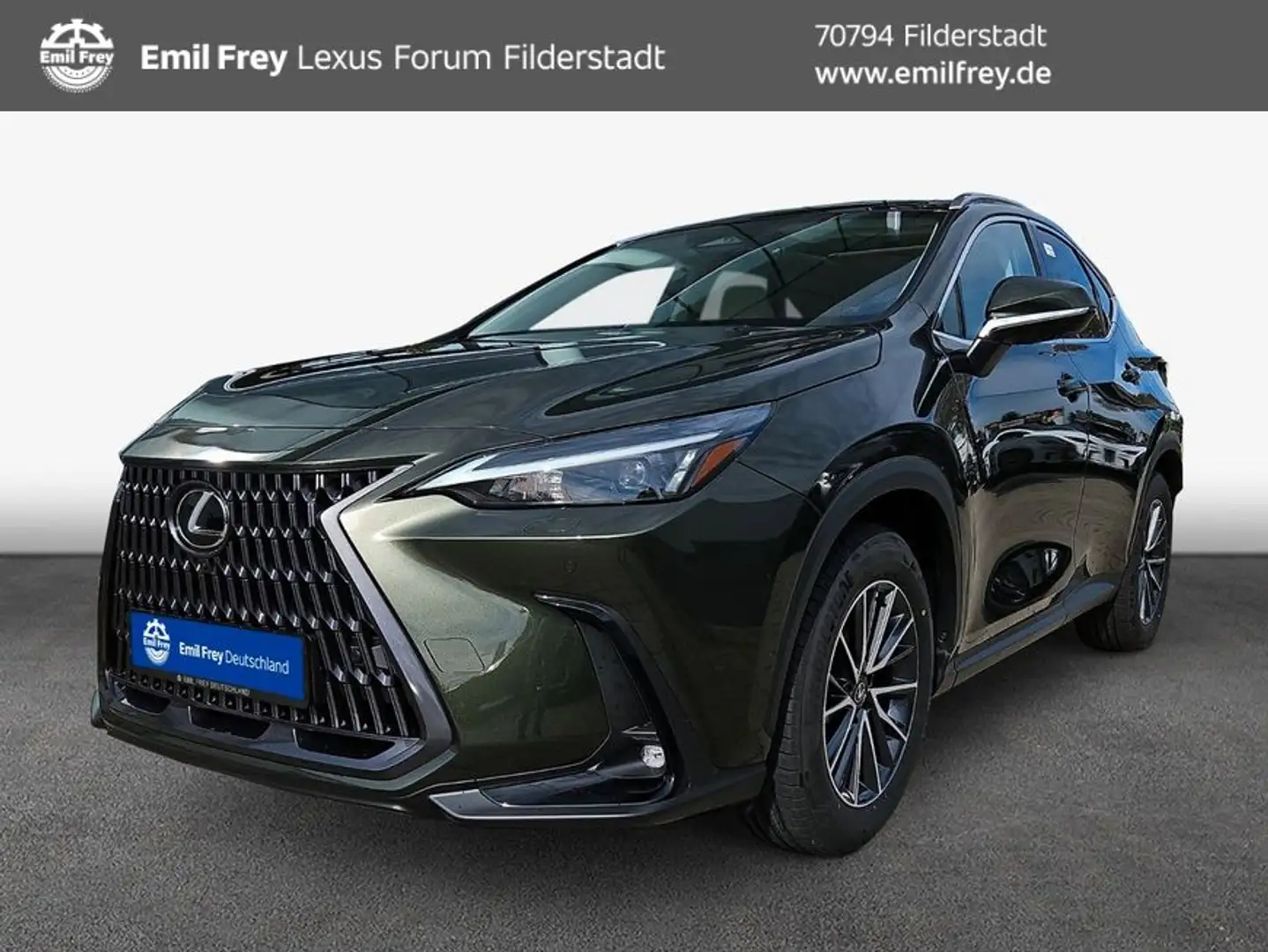 Lexus NX350h 4x4 Executive line-Techno+Interieur Paket Verde - 1