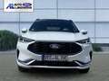 Ford Kuga Plug-In Hybrid ST-Line X 2.5 Duratec -PHEV EU6d HU Weiß - thumbnail 3