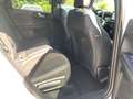 Ford Kuga Plug-In Hybrid ST-Line X 2.5 Duratec -PHEV EU6d HU Weiß - thumbnail 17