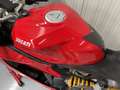 Ducati 1199 Panigale S *Ducati Performance *Termignoni - thumbnail 13