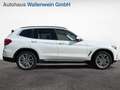 BMW X3 xDrive20i Aut. Luxury Line, AHK, Standhzg, HuD Weiß - thumbnail 4
