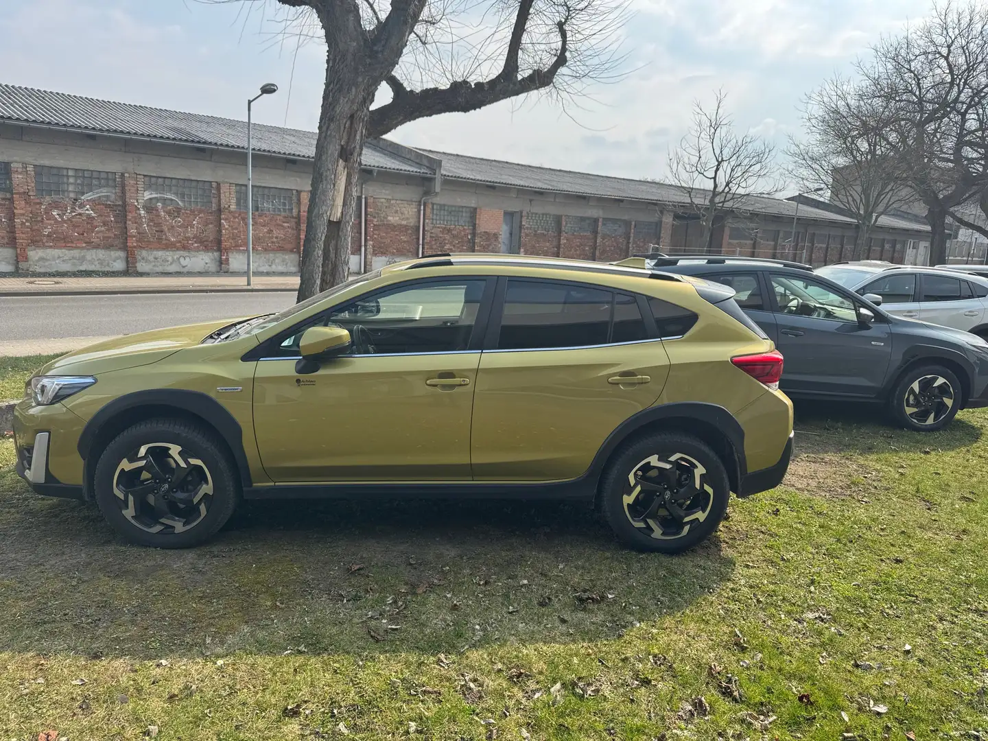 Subaru XV 2.0ie Lineartronic Comfort Allwetterbereifung Gelb - 1