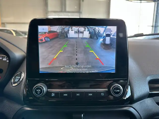 Ford Ecosport view 15