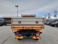 Iveco Daily (2006-2009) 35C18/BarTor 3.0Hpt PC-RG Cab. Portocaliu - thumbnail 9