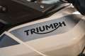 Triumph Tiger 900 GT PRO Blanco - thumbnail 20