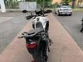 Triumph Tiger 900 GT PRO Weiß - thumbnail 4