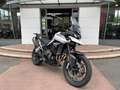 Triumph Tiger 900 GT PRO Weiß - thumbnail 2
