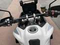 Triumph Tiger 900 GT PRO Weiß - thumbnail 5