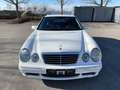 Mercedes-Benz E 55 AMG E 55 T AMG White - thumbnail 3
