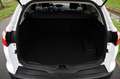 Ford Focus Wagon 1.6 EcoBoost Titanium Blanc - thumbnail 15