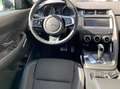 Jaguar E-Pace R-Dynamic Bianco - thumnbnail 5