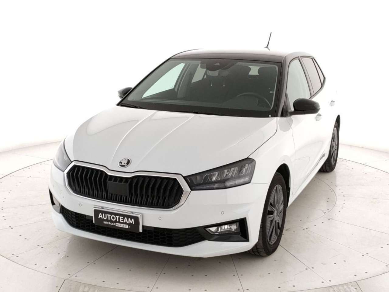 Skoda Fabia 1.0 mpi Young Edition 80cv