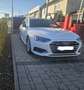 Audi A4 Avant 40 TDI quattro S tronic - thumbnail 4
